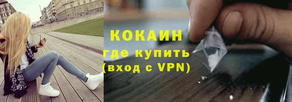 бошки Няндома