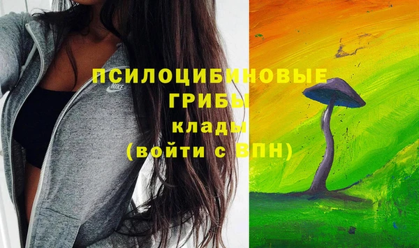 кокс Нягань